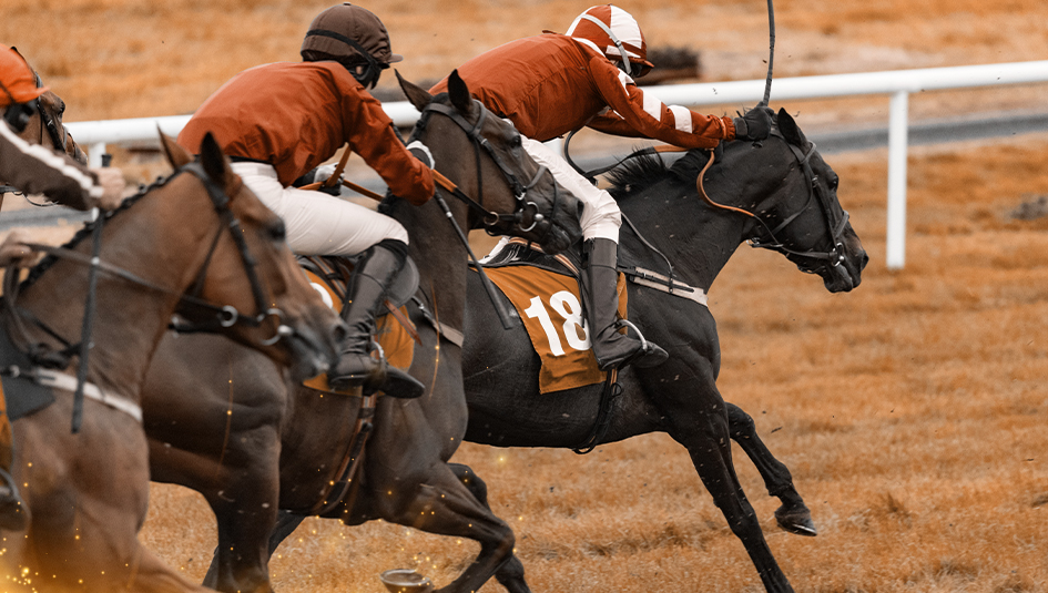 2022 King Weekend Analysis and Betting Guide